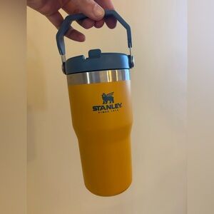 Stanley Iceflow Tumbler